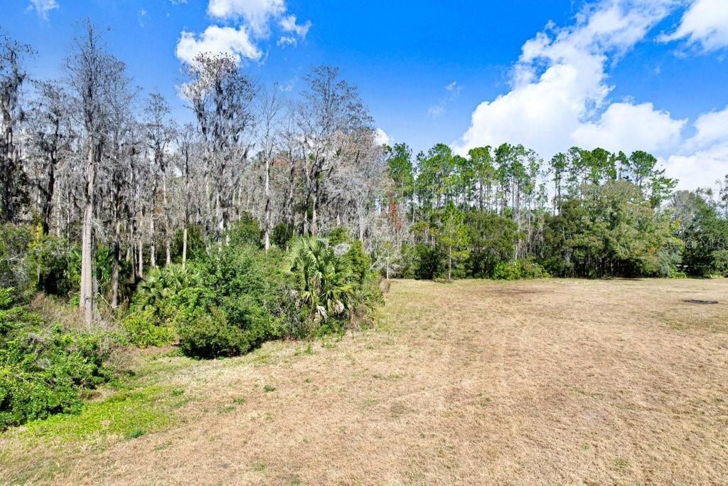 17308 Tobacco Road, Lutz, FL 33558 Photo