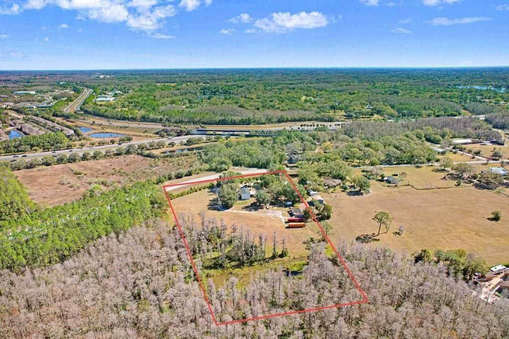 17308 Tobacco Road, Lutz, FL 33558 Photo