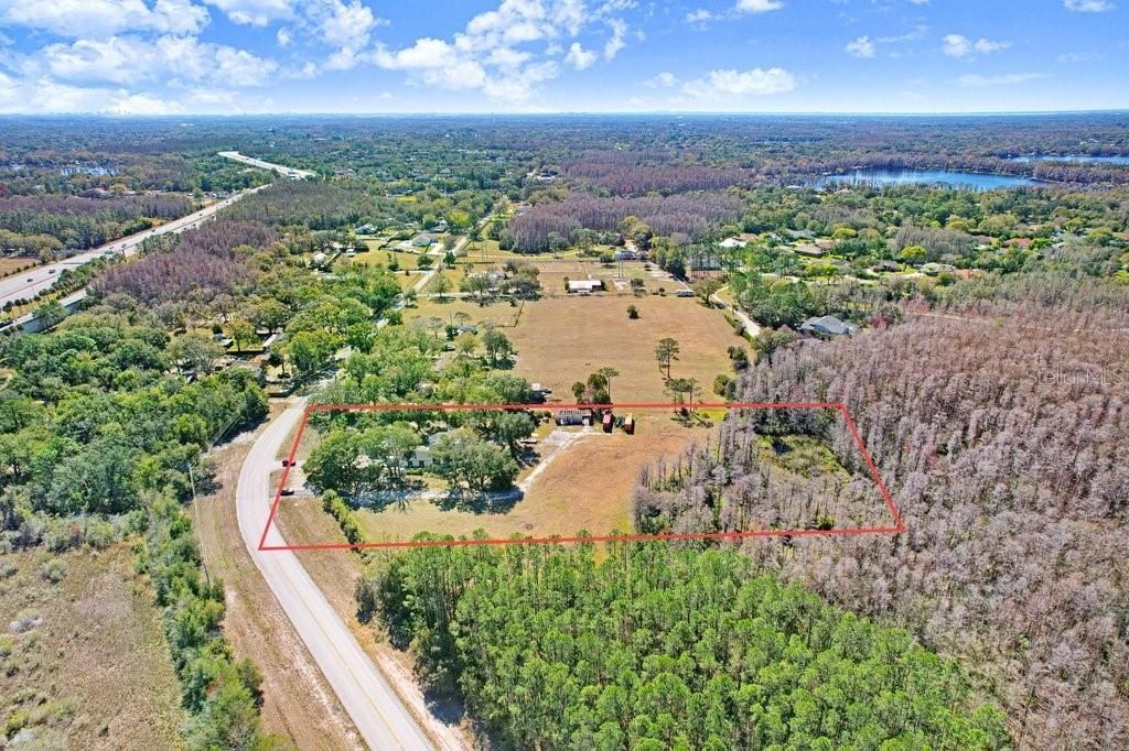 17308 Tobacco Road, Lutz, FL 33558 Photo