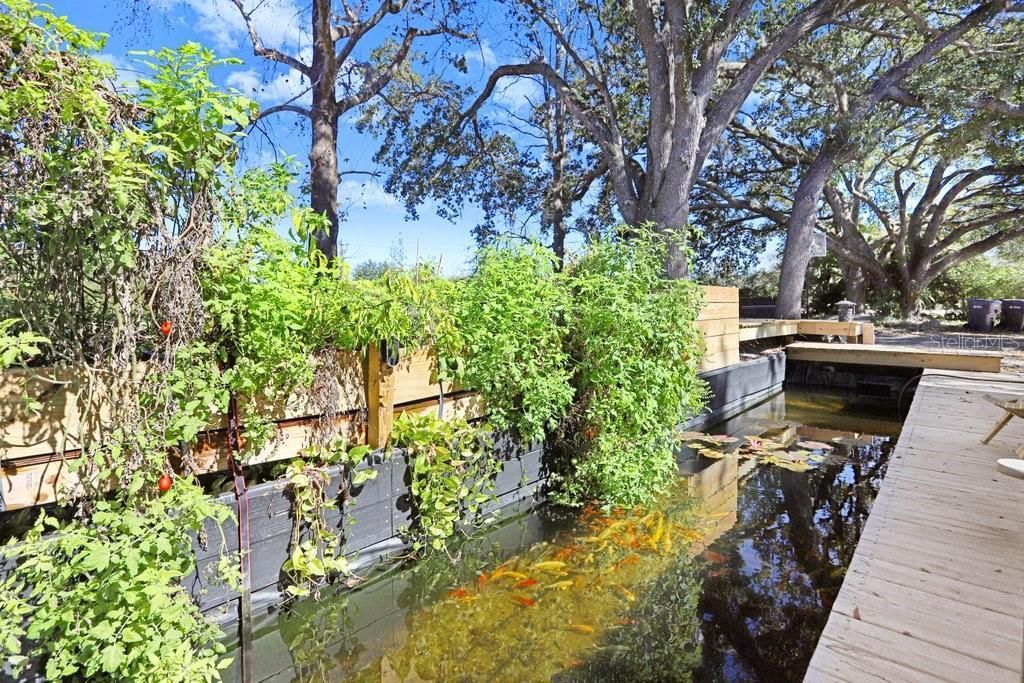 1st, Lutz, FL 33558 Photo