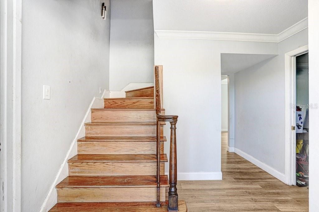 1st, Lutz, FL 33558 Photo