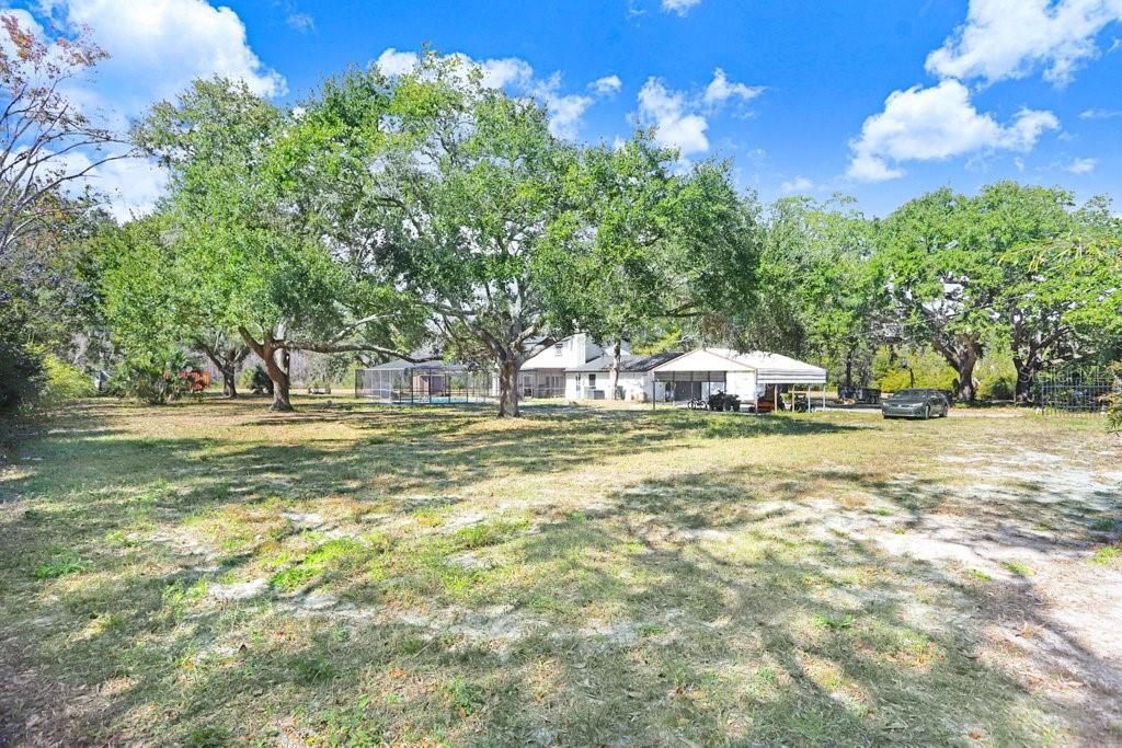 1st, Lutz, FL 33558 Photo