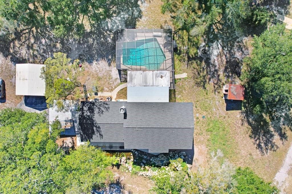 1st, Lutz, FL 33558 Photo