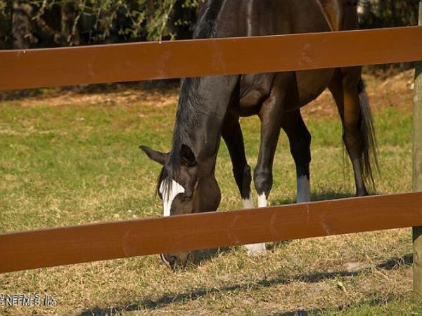 3760 OLD JENNINGS Road, Unit B, Middleburg, FL 32068