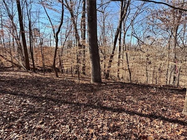 0 Arrowhead Court , Lavonia, GA 30553