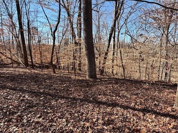 0 Arrowhead Court, Lavonia, GA 30553