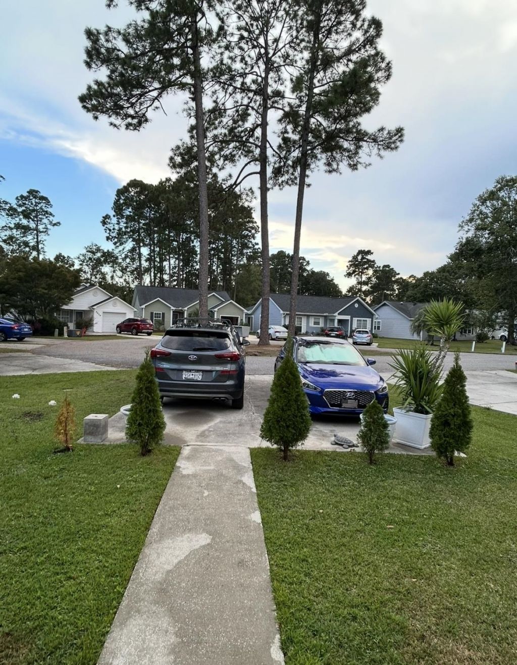 6627 Cherry Laurel Dr. Photo 38