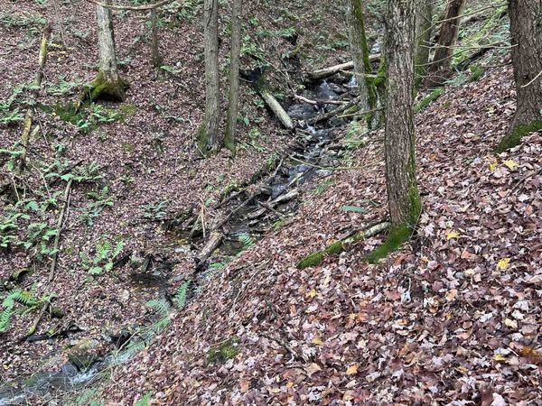 1901 Royalton Hill Road, Unit 2, Royalton, VT 05068