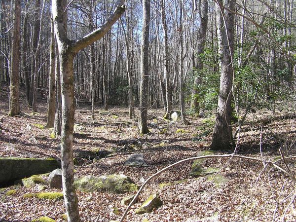 151c Indian Trails Drive, Spencer, TN 38585