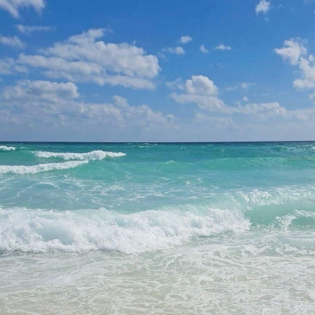 14545 Eagle Branch Drive, Nokomis, FL 34275 Photo