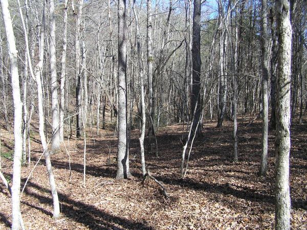 150 Indian Trail Drive, Spencer, TN 38585