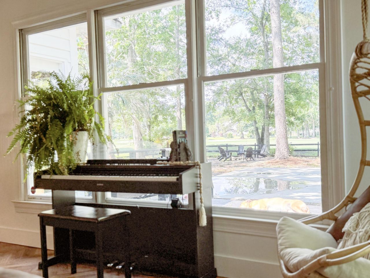 27 Fitzroy Drive Photo 25