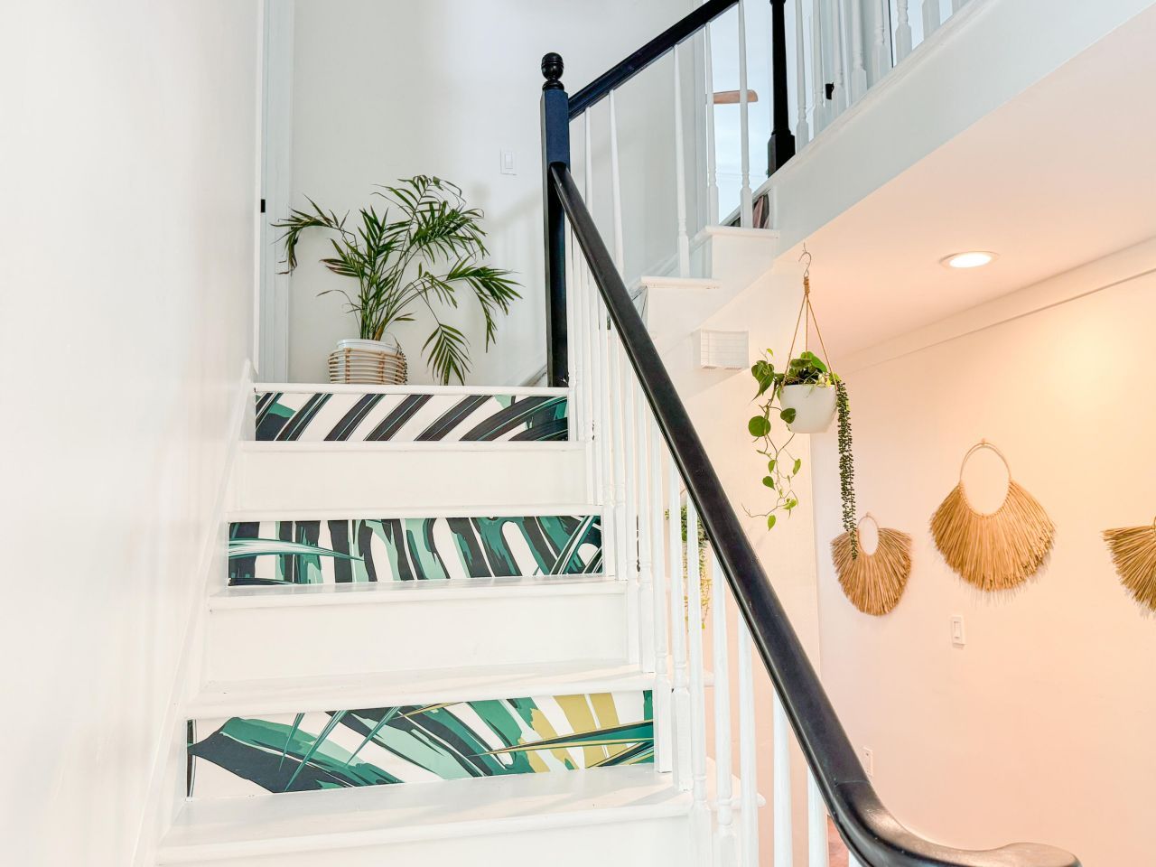 27 Fitzroy Drive Photo 34