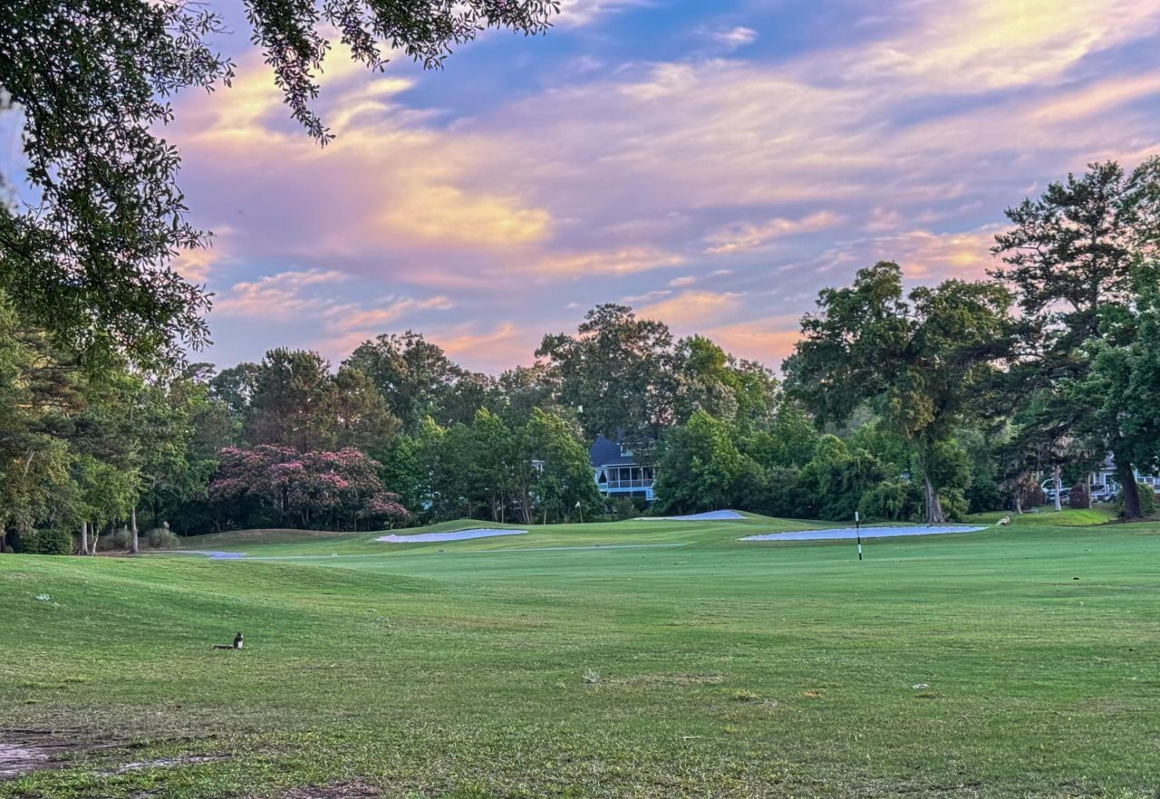 27 Fitzroy Drive Photo 8