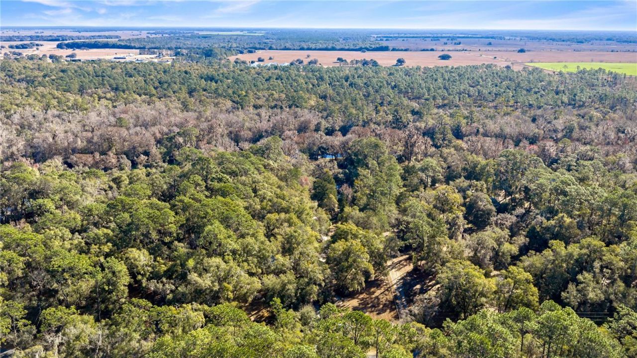 10377 SW 186th Avenue, Dunnellon, FL 34432 Photo