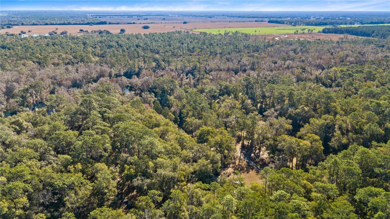 10377 SW 186th Avenue, Dunnellon, FL 34432 Photo