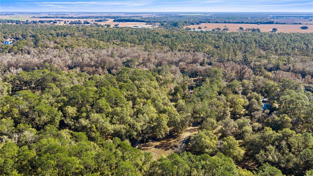 10377 SW 186th Avenue, Dunnellon, FL 34432 Photo