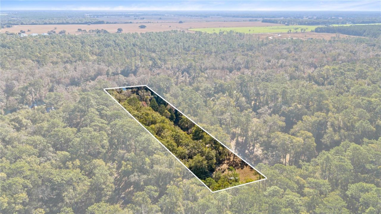 10377 SW 186th Avenue, Dunnellon, FL 34432 Photo