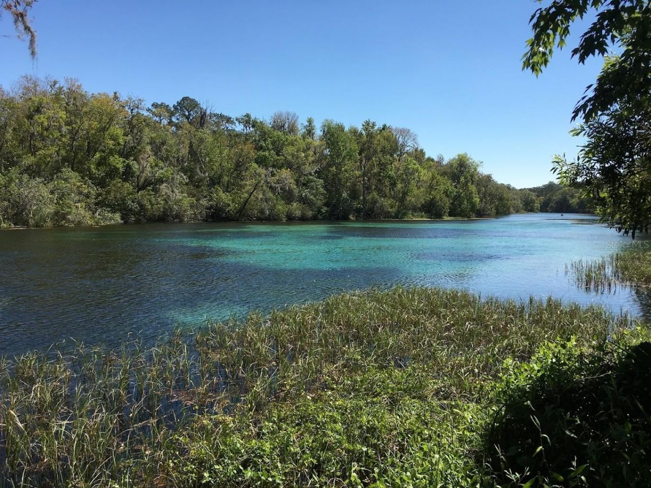 10377 SW 186th Avenue, Dunnellon, FL 34432 Photo