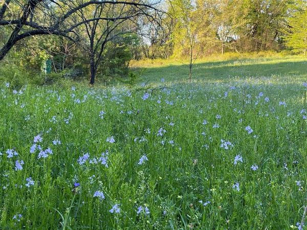 N/A CR 103, Nocona, TX 76255