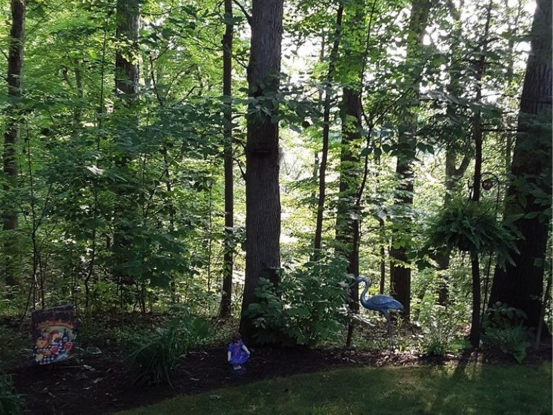 940 Trimble Place, Sagamore Hills, OH 44067 Photo 41