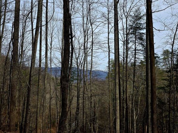 Emerald Springs Loop, Sevierville, TN 37862