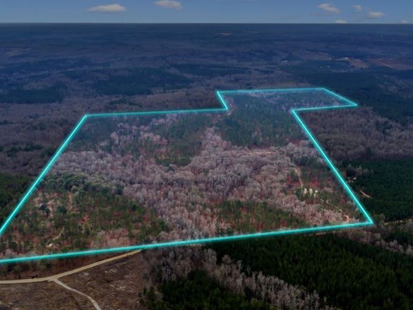 TRUSLOW SOUTH Durham Mill Road, Jeffersonville, GA 31044