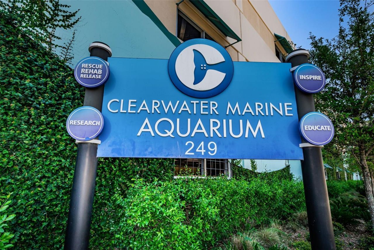 415 Island Way, Unit 509, Clearwater Beach, FL 33767 Photo