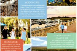 217 Atlantic Breeze St. photo 4