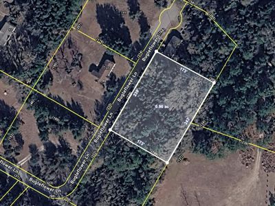 0 Bugleflower Lane, Saint Matthews, SC 29135