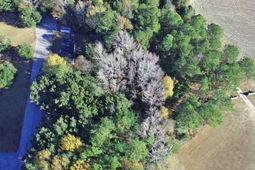 0 Bugleflower Lane photo 4