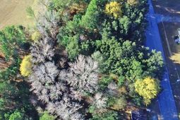 0 Bugleflower Lane photo 4