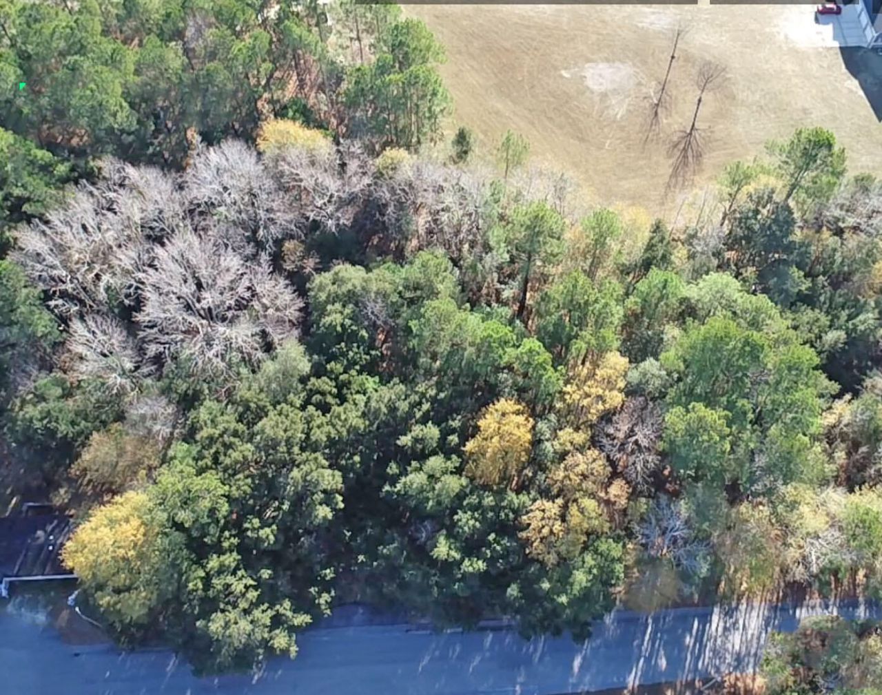 0 Bugleflower Lane Photo 5