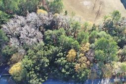 0 Bugleflower Lane photo 4