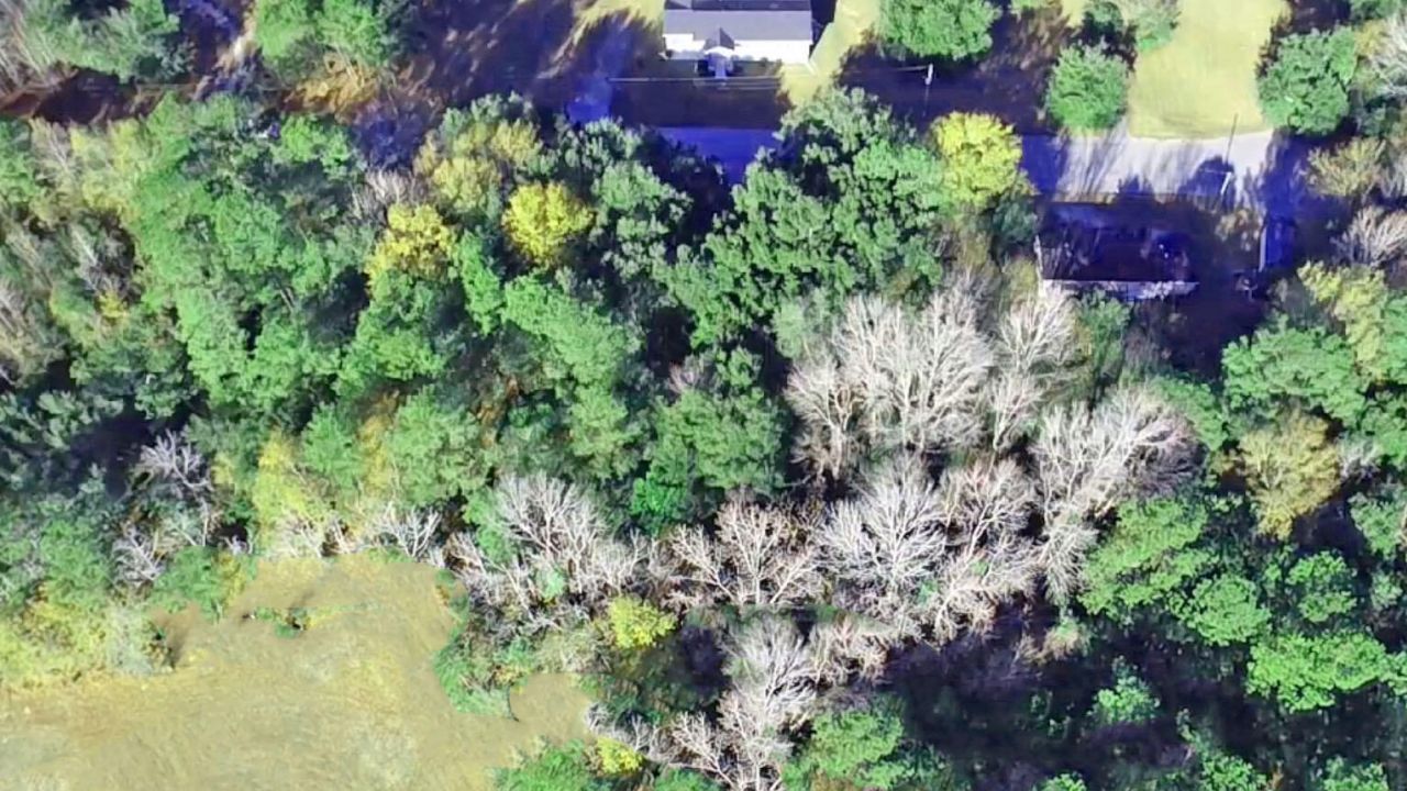 0 Bugleflower Lane Photo 6