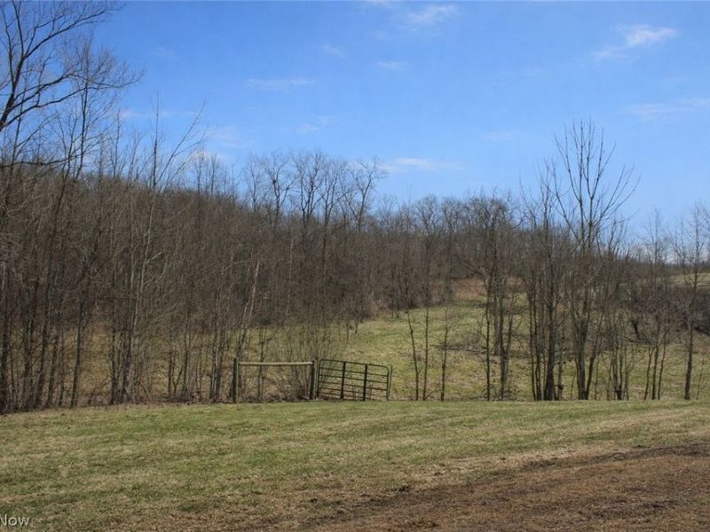 291 County Road 800, Polk, OH 44866 Photo 10