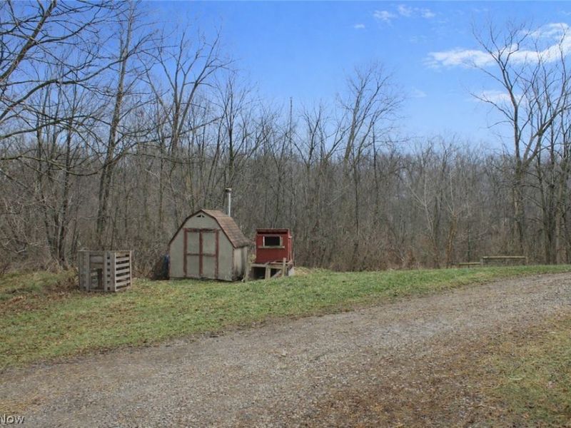 291 County Road 800, Polk, OH 44866 Photo 11