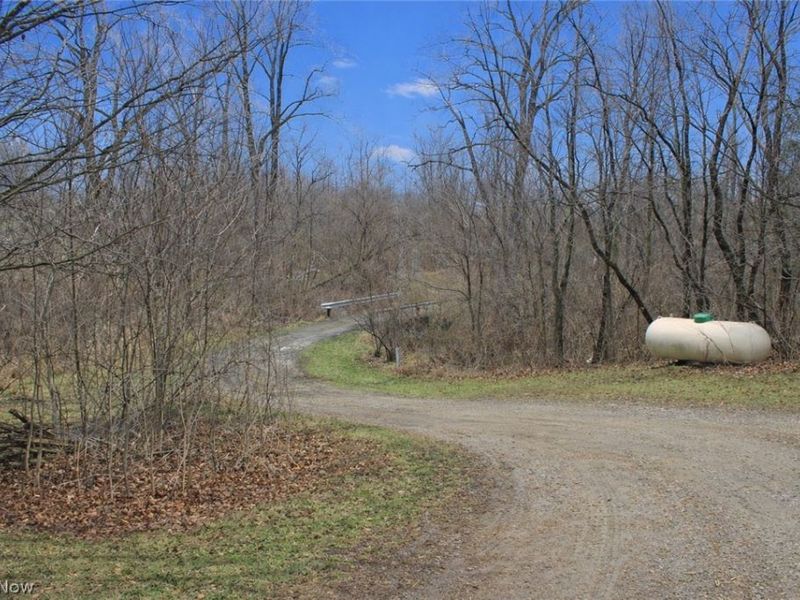 291 County Road 800, Polk, OH 44866 Photo 12