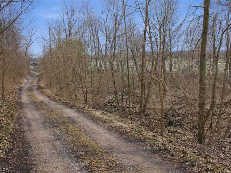 291 County Road 800, Polk, OH 44866 Photo 13