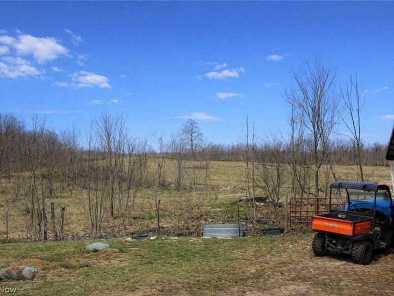 291 County Road 800, Polk, OH 44866 Photo 6