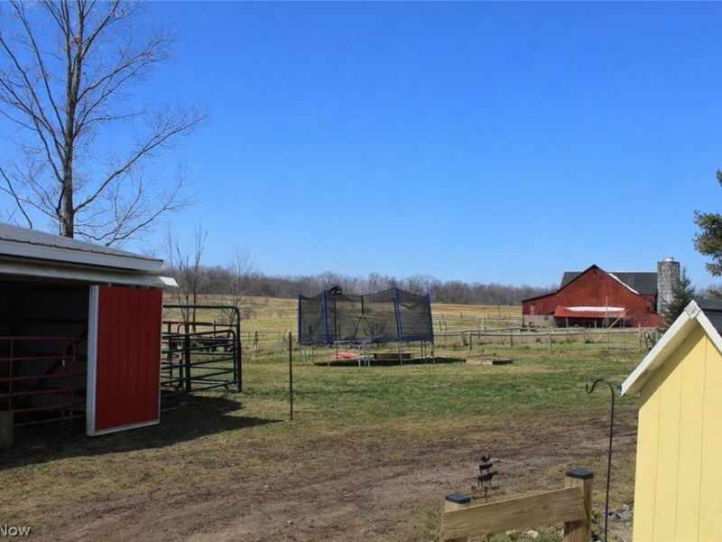 291 County Road 800, Polk, OH 44866 Photo 7