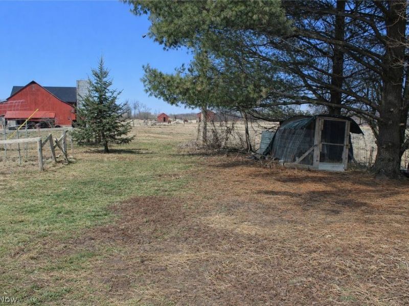 291 County Road 800, Polk, OH 44866 Photo 8