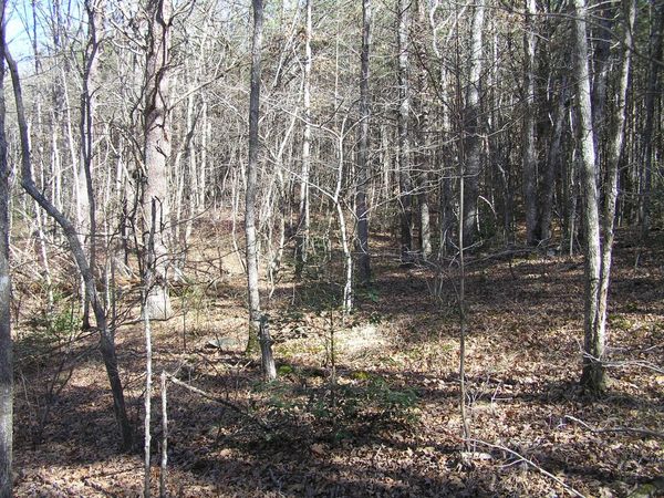 977 Dell Lane, Spencer, TN 38585