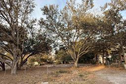 936 Woodwinds Dr. photo 4