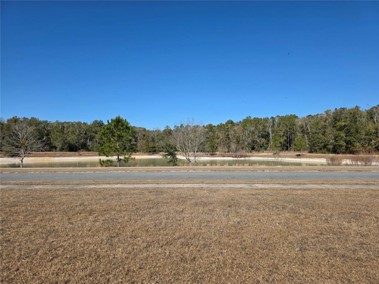 483 SW Bellflower Drive, Lake City, FL 32024 Photo