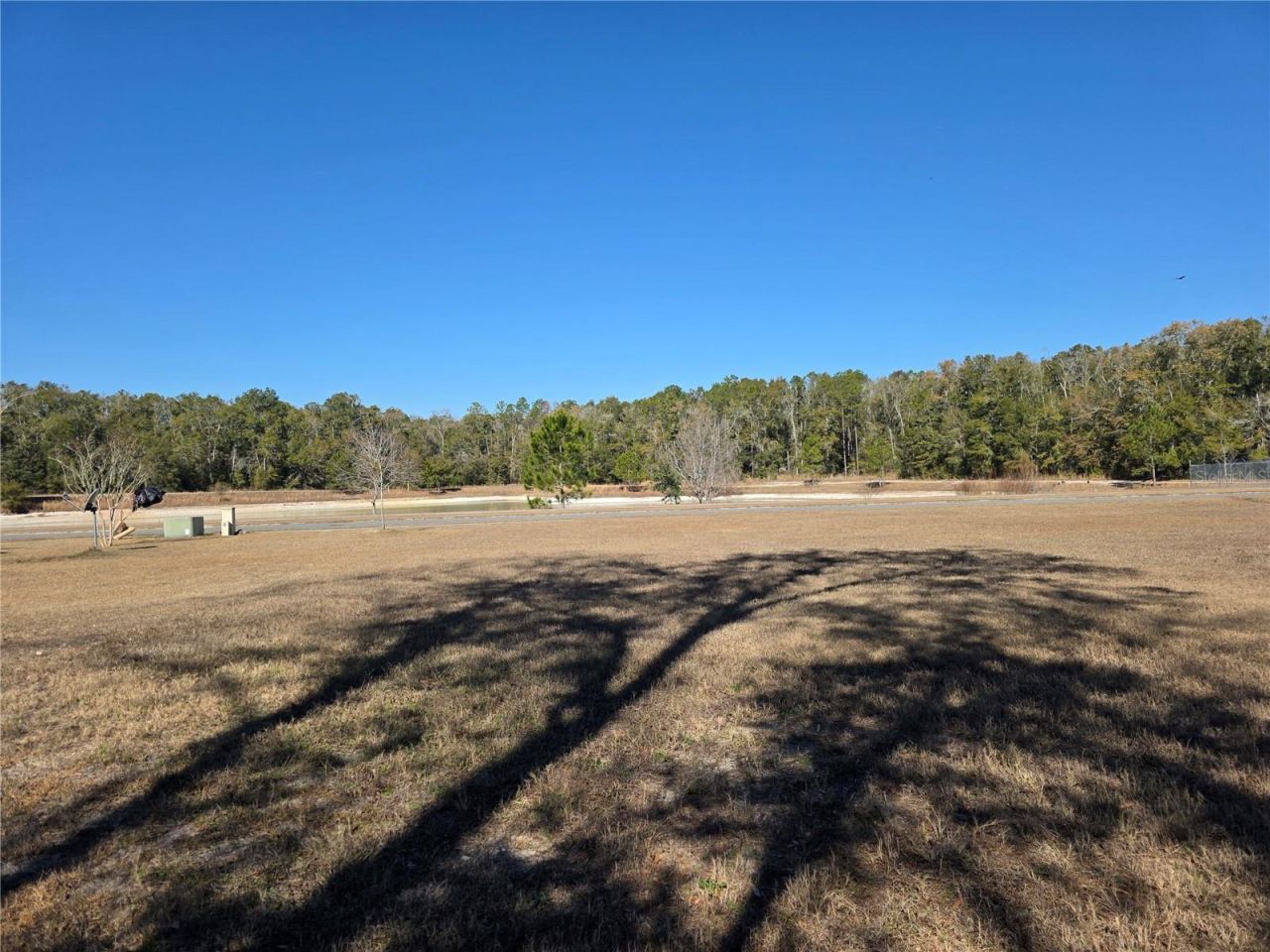 483 SW Bellflower Drive, Lake City, FL 32024 Photo