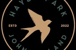 313 Livewell Court photo 4