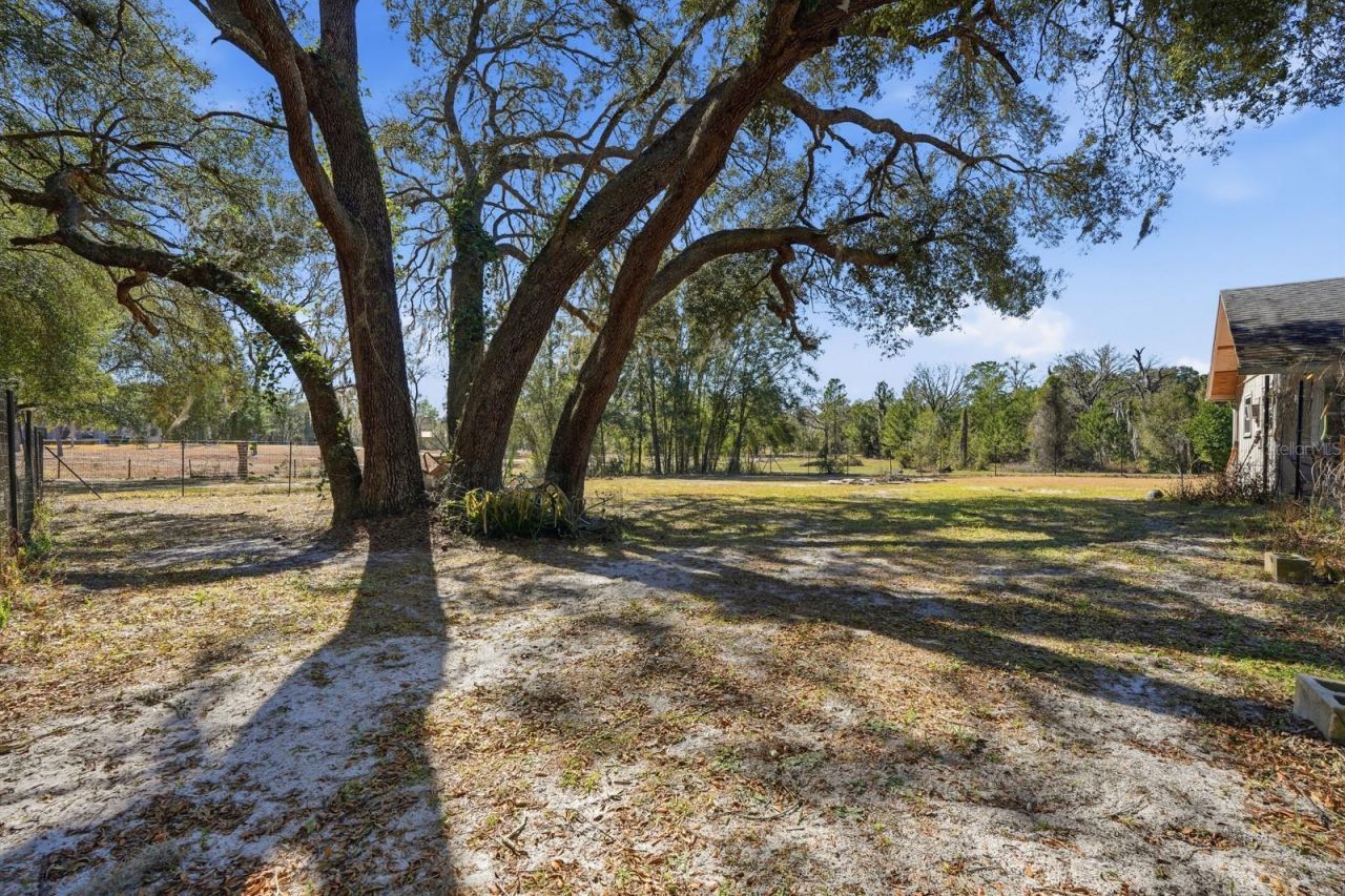 1500 W French Avenue, Orange City, FL 32763 Photo