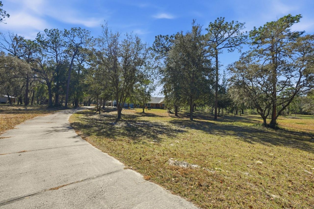 1500 W French Avenue, Orange City, FL 32763 Photo