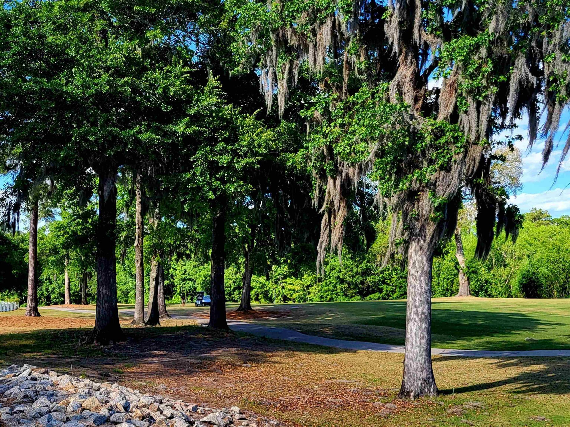 635 Bucks Trail Photo 24